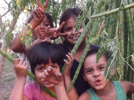 Kids and tree!